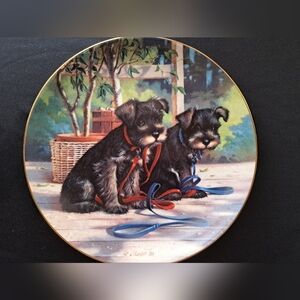 Decorative Plate. Puppies.
